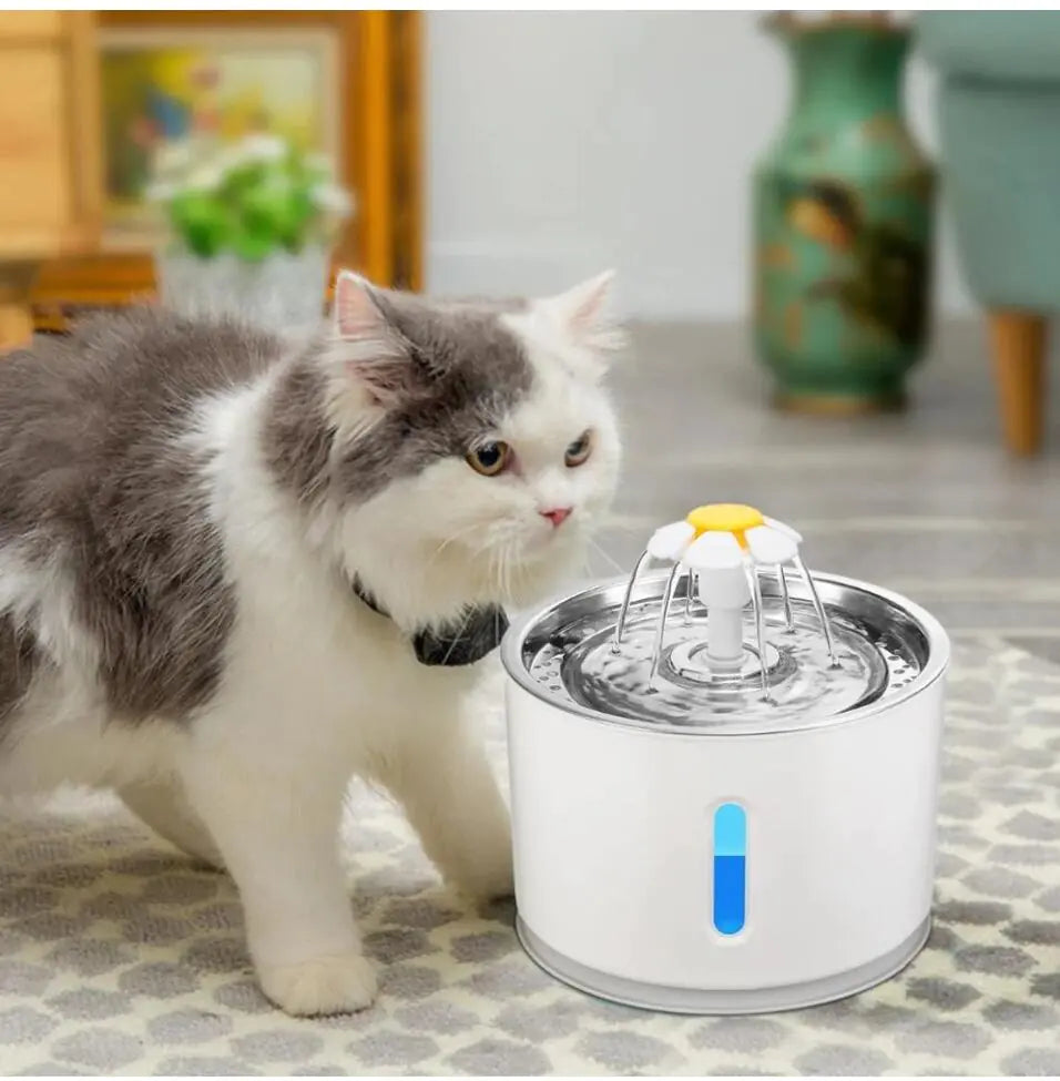 Fontana per gatti alimentata tramite USB 