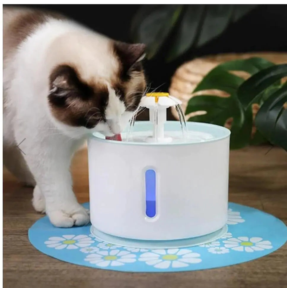 Fontana per gatti alimentata tramite USB 